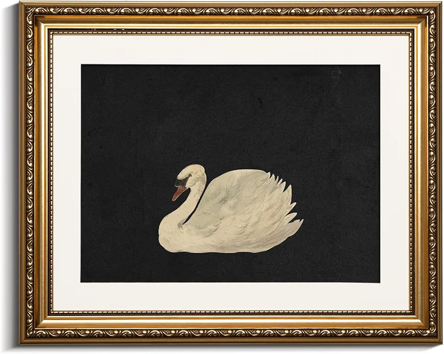 VIYYIEA Gold Framed Wall Art Canvas Print Home Decor Wall Decorations Grace Swan Art Painting Pictures Rustic Bathroom Wall Decor Farmhouse Wall Decor for Living Room Bedroom Office Decor 13x16in