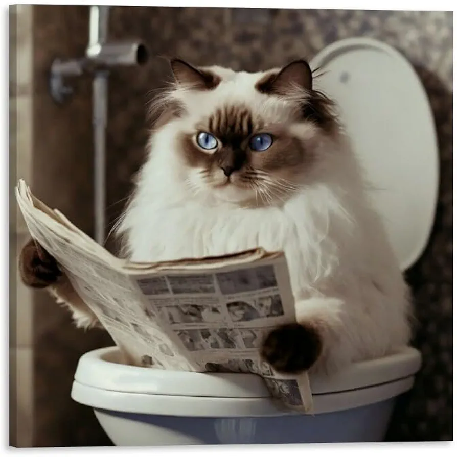 TcnBzydkij Square Canvas Bathroom Decor Ragdoll Cat Wall Decor Poster Animals Reading Newspaper Theme Bathroom Wall Art Print Toilet Wall Decor Home Gift 12x12inch Framed, style-35