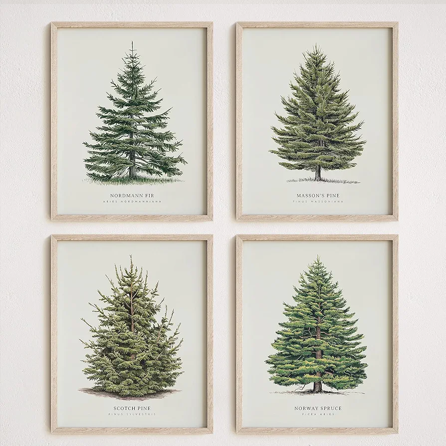 NOCTMETEOR 4Pcs Vintage Christmas Tree Wall Art, Artful 4 Pine Tree Botanical Prints, Winter Wall Decor, 8x10 Inch Unframed
