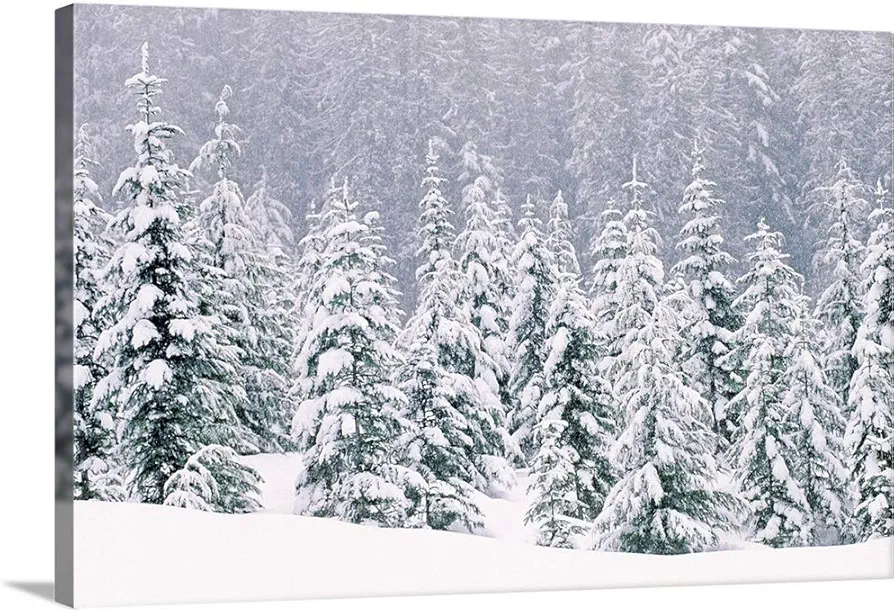 CANVAS ON DEMAND Snow Covered Pine Trees Canvas Wall Art Print, Home Decor, Winter Artwork, 18"x12"