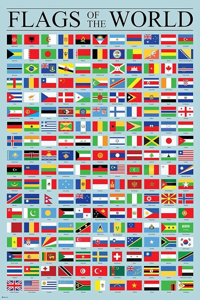 Flags of the World Classroom Reference Chart National Countries Country Symbol Educational Teacher Learning Homeschool Display Supplies Teaching Aide Cool Wall Art Print Poster 16x24