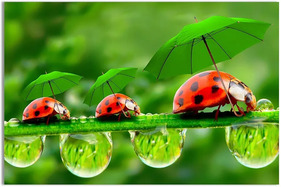 Ladybug Nature Photography Print, Funny Insect Canvas Wall Art, Red Bug Animal Poster Gift for Men Women & Animal Lover Paintings Artwork Room Aesthetic Living Room & Kid's Room - 18x12in Unframed