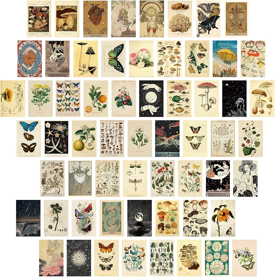 Containlol 60 Pcs Vintage Wall Collage Kit Botanical Illustration Tarot Aesthetic Print Vintage Wall Prints Vintage Cards Photo Wall Collection Aesthetic Collage Dorm Bedroom Decor