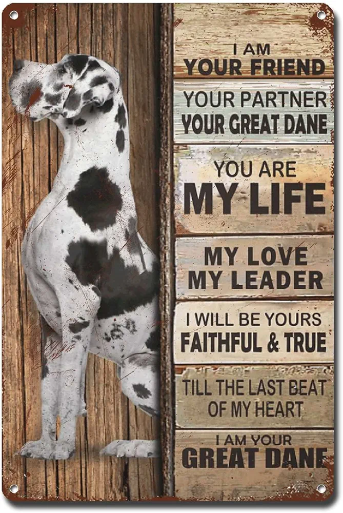 Lygond Metal Sign Tin Sign Vintage Wall Art I Am Your Friend Gift for Great Dane Lovers Dog Lovers Vintage Wall Art Prints Funny Garden Signs for Garden 8×12 Inches