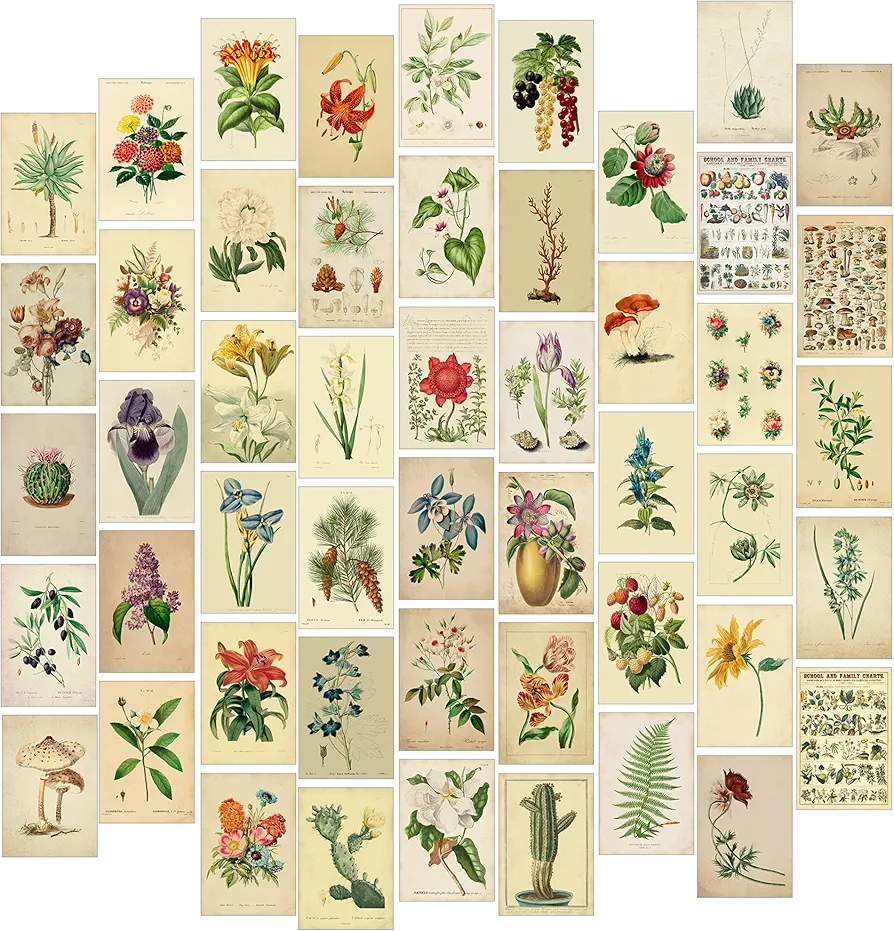 Fardes Witchy Home Decor, Aesthetic Vintage Botanical Decor Prints, 50pcs Vintage Botanical Wall Art, Botanical Prints for Vintage Wall Decor, Witchy Decor Aesthetic Witchy Gifts for Women